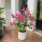 CHẬU CÂY HOA GIẤY TRANG TRÍ BỀN ĐẸP (90CM)- CC772