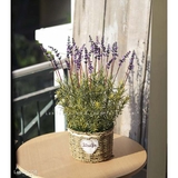 Giỏ hoa lavender trang trí vintage Lan Decor - CC313
