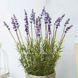 Giỏ hoa lavender trang trí vintage Lan Decor - CC313