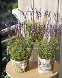 Giỏ hoa lavender phong cách vintage Lan Decor - CC529