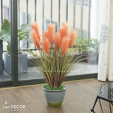 CHẬU LAU SẬY HỒNG CAM TRANG TRÍ LAN DECOR