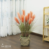 CHẬU LAU SẬY HỒNG CAM TRANG TRÍ LAN DECOR