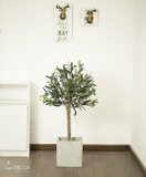 Cây Oliu trang trí phong cách Bắc Âu Lan Decor (90cm) - LC2715