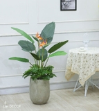 Cây hoa Thiên Điểu trang trí nội thất sang trọng LanDecor (120cm) - LC3018-1 Mix