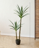 Cây Yucca trang trí Lan decor - cây giả trang trí 100cm - LC3275