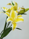 Cành hoa lily 88cm