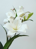 Cành hoa lily 88cm