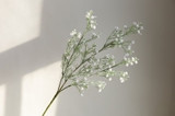 Cành hoa baby trắng 65cm