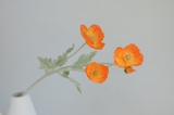 Cành hoa poppy 60cm