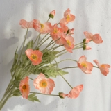Cành hoa poppy 60cm