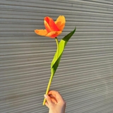 Cành hoa tulip 35cm