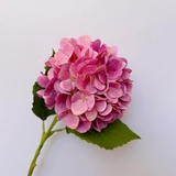 Cành hoa cẩm tú cầu 50cm