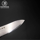 Dao bep Nhat cao cap Tojiro Flash 63 lop Damascus VG10 Chef FF CH180 180mm