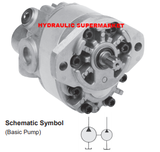 HD gear pump (Dual Pump)