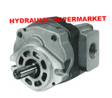 P16 gear pump