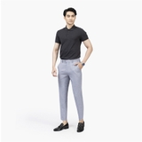 Quần Âu Nam Aristino Quần Tây ATR00202 Dáng Cropped Màu Xám Kẻ Chìm Vải Polyester Cao Cấp