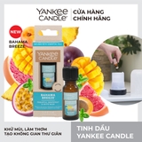 Tinh dầu Yankee Candle, mùi Bahama Breeze