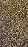 Cà phê hạt Robusta Natural