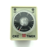 Rơ le thời gian AH3-3 24VDC 10 phút / Relay Timer  - D6H19