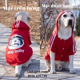 ÁO HOODIE CHO CHÓ LỚN DOG BABY - SP000611