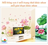 Decal dán tường hoa sen lotus combo sen KÍCH THƯỚC LỚN sang trọng