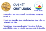 Đĩa phong thủy than hoạt tính cá chép giàu sang phú quý