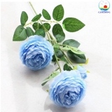 Cành hoa mẫu đơn vải 65 cm combo 5 cành trang trí sang trọng