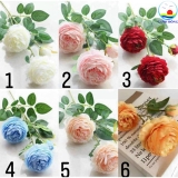 Cành hoa mẫu đơn vải 65 cm combo 5 cành trang trí sang trọng