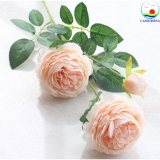 Cành hoa mẫu đơn vải 65 cm combo 5 cành trang trí sang trọng