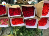 Bó hoa hồng tươi đỏ 50 bông trang trí đám cưới, phòng cực xinh giải cứu bông đồng hành cùng bà con miền Trung-chỉ giao hỏa tốc