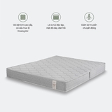 Đệm lò xo Pocket Pops - New