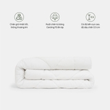 Ruột Chăn Original Low (R/c Everon truyền thống - loại mỏng)