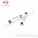 Cầu Chì Sứ 10x38mm 1A 500V