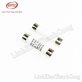 Cầu Chì Sứ 10x38mm 2A 500V