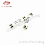 Cầu Chì Sứ 10x38mm 2A 500V