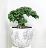 Com.Pot_[Dancing Leaves] (D37H30 White)