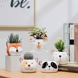 Chậu Thú Mini [Animal Succulent Planters]