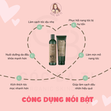 BỘ GỘI XÃ GỪNG WEILAIYA