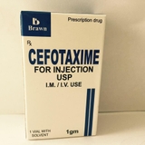 Cefotaxime 1g