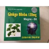 Ginkgo Biloba 120mg