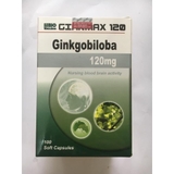 Ginkmax 120 mg