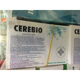 Cerebio