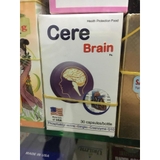 Cere Brain