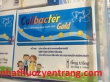 Colibacter gold
