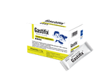 Gastifix