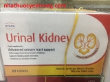 Urinal Kidney