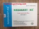 Nasagast KG