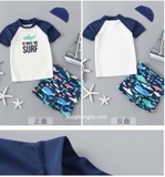 Bộ bơi bé trai cộc tay trắng cá mập, tay xanh, quần rời  Momasong