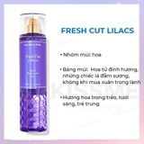 Xịt thơm Bath & Body Works Fine Fragrance Mist 236ml