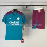 Bộ Thể Thao Màu Chính Hãng Màu Xanh - Nike PSG M NK DF STRK SS TOP K - FN9821-382/FN9394-610